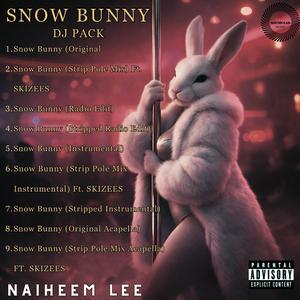 Snow Bunny (Original Acapella)