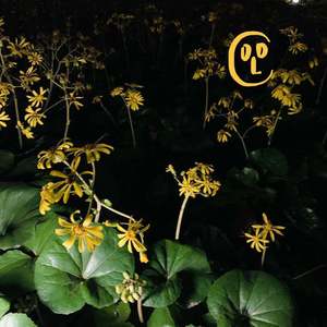 ..几乎透明的雨中