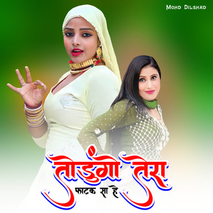 तोडुंगो तेरा फाटक सा हे