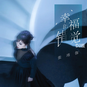 幸福的错觉（DJ版）