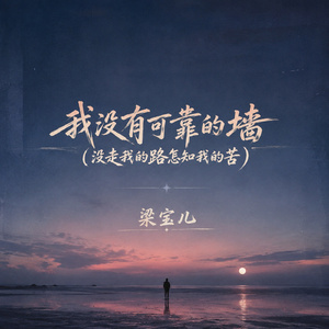 我没有可靠的墙(没走我的路怎知我的苦)