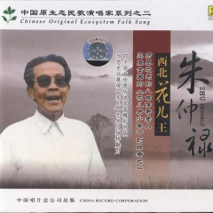 面如银盆白如盐