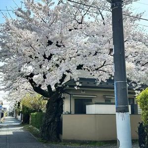 Only You in My Heart 伴奏