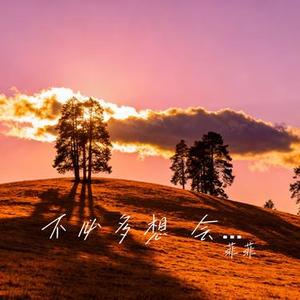 不必多想 会有希望 (Cover 王佳音)