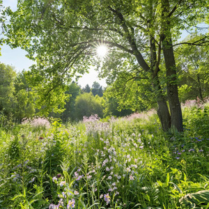 Молитва 13 молитвенное воздыхание ко Господу иеросхимонаха Парфения