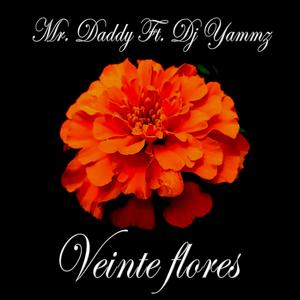 Veinte flores (feat. Dj Yammz)
