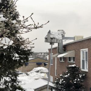 ad nauseam w/ ghais guevara (feat. Ghais Guevara)