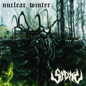 Nuclear Winter