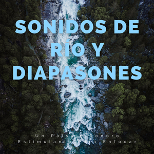 Claridad Con Diapasones