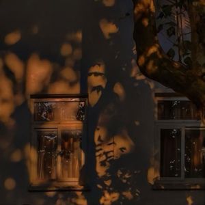 念念不忘最终章（0.8）