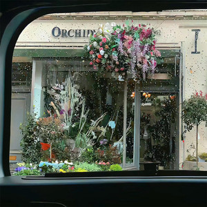 有个女孩让我好想念