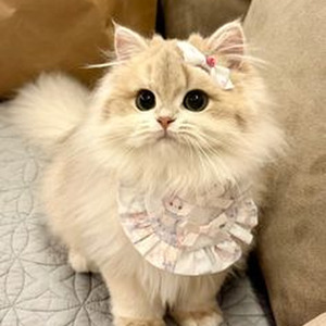 Ain't Worried (sped up)