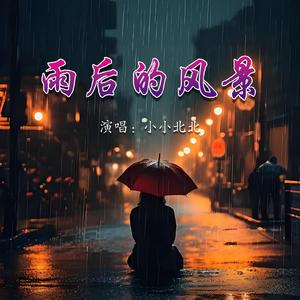 雨后的风景