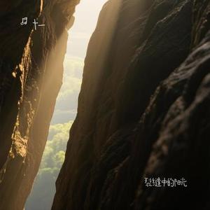 裂缝中的阳光 (Cover 林俊杰)