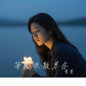 等风吹散思念 (青墨 Remix)