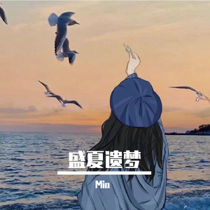 盛夏遗梦，止于遇见