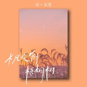 大风吹倒梧桐树