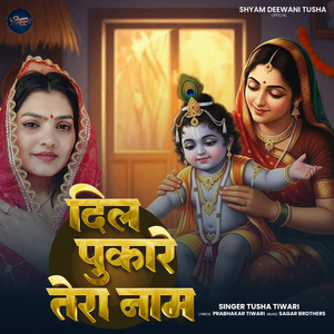 Dil Pukare Tera Naam