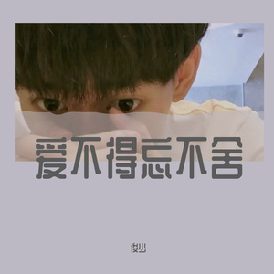爱不得忘不舍