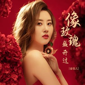 像玫瑰盛开过 (DJ彭锐版)