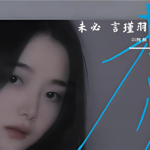 言瑾羽-言瑾羽 - 未必