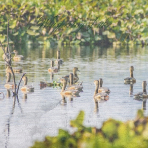 Return To Dark Star Is3