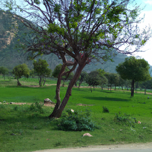 लूट लो मुझको