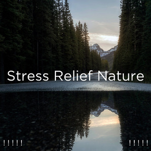 수면을위한 바다의 소리