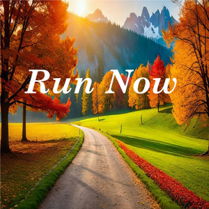 Run Now