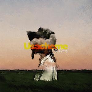 Usacheme