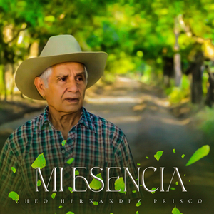 La Musulmana Cat