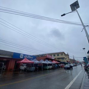 睢宁县不缺钓鱼佬