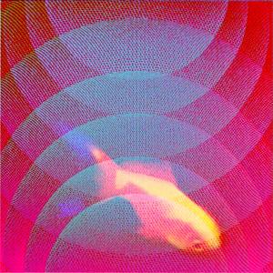 Cracks in the Mirror