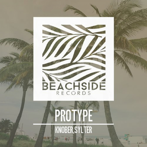 Protype (Original Mix)