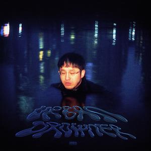 野蜂飞舞（Killer Bee Freestyle）