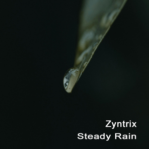 Steady Rain