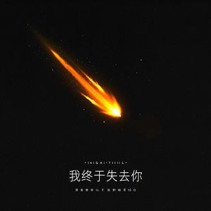 我终于失去你