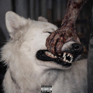 K9