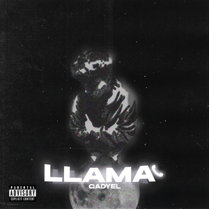 Llama