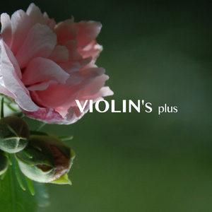 マルコとジーナのテーマ