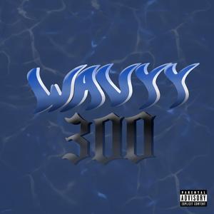 Wavyy 300