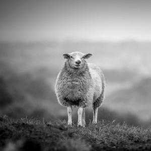 回家回家（伴奏）