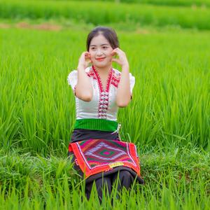 Nhạc Sống Dissco TB1