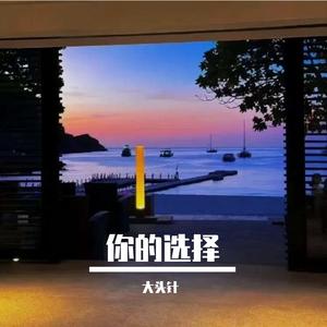 你的选择