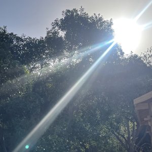 纯净爱意与奋不顾身的勇气