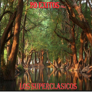 Lagrimillas Tonta - Caxitlan