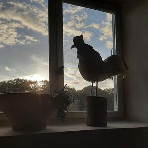 21 Struisvogel (feat. Henry Kelder)