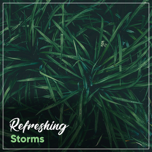 Undisturbed Rain