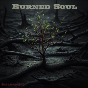 Burned Soul