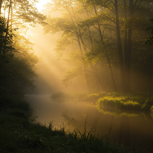 永遠のやすらぎ